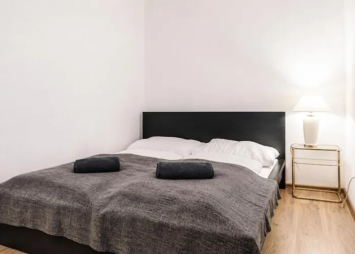 Comfortable 3-bedroom Setup In 2 Neighbouring * Vienna
